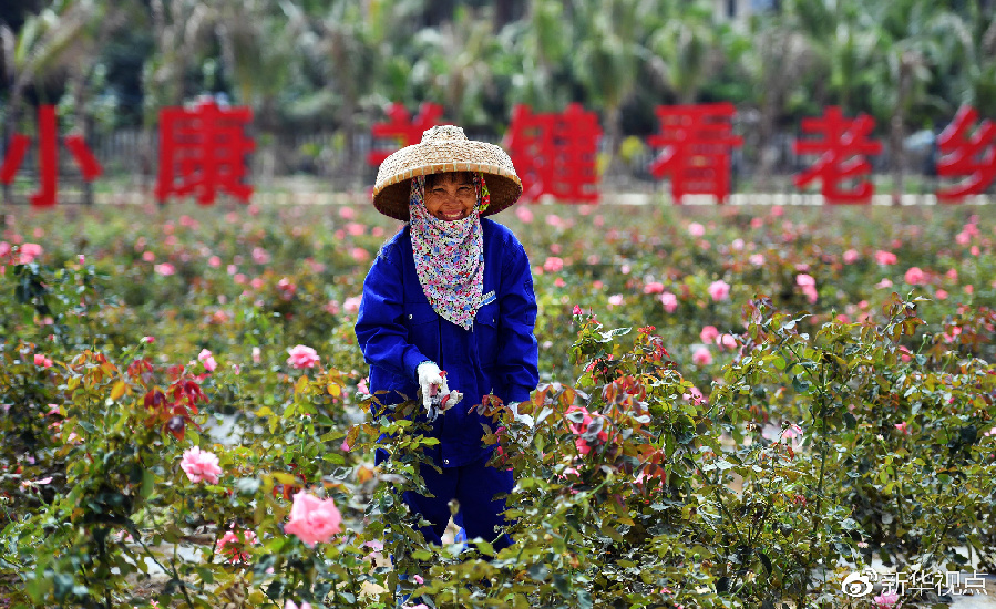 1523841413110023.jpg http://www.xinhuanet.com/politics/leaders/2018-04/14/1122682571_15236995520241n.jpg