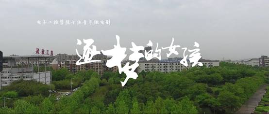 QQ截图20170428104654