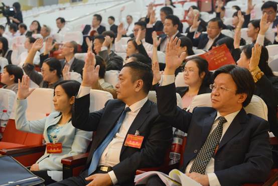 2—3 代表举手表决(摄影 周思思).JPG